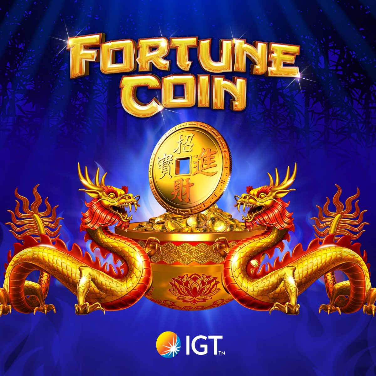 Fortune Coins at a Glance
